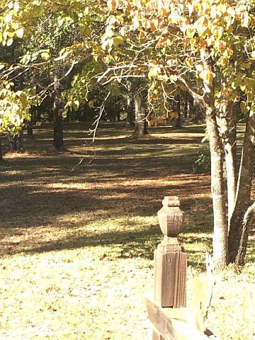 1st image of 467 Cold Creek Dr
