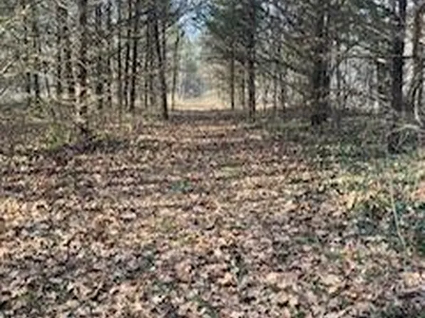 Tbd E Farm Rd 36, Pleasant Hope, MO 65725