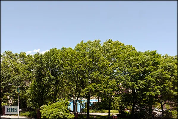 Sold by Brown Harris Stevens | media 15