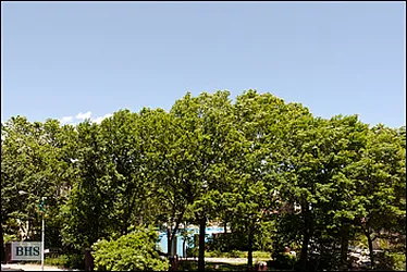 Sold by Brown Harris Stevens