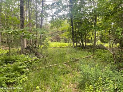 L34 Lane Road, North Creek, NY, 12853
