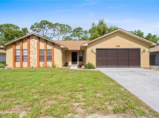 3085 Greynolds Ave, Spring Hill, FL 34608