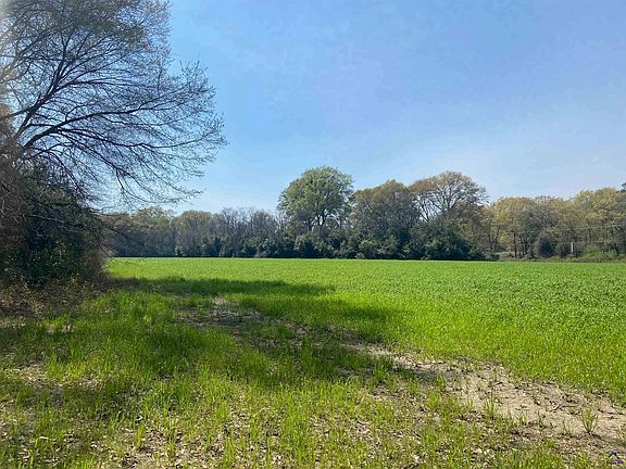 5th image of Moseley Rd