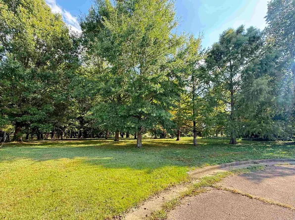 Mosswood Dr, Union City, TN 38261