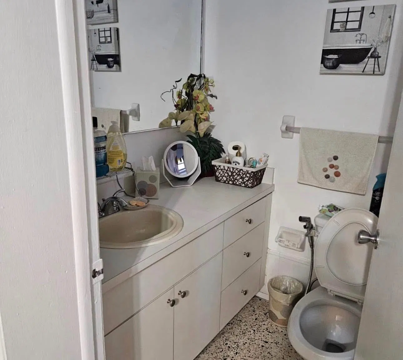 3 bed, 1500 sqft, $2,900 — Photo 4