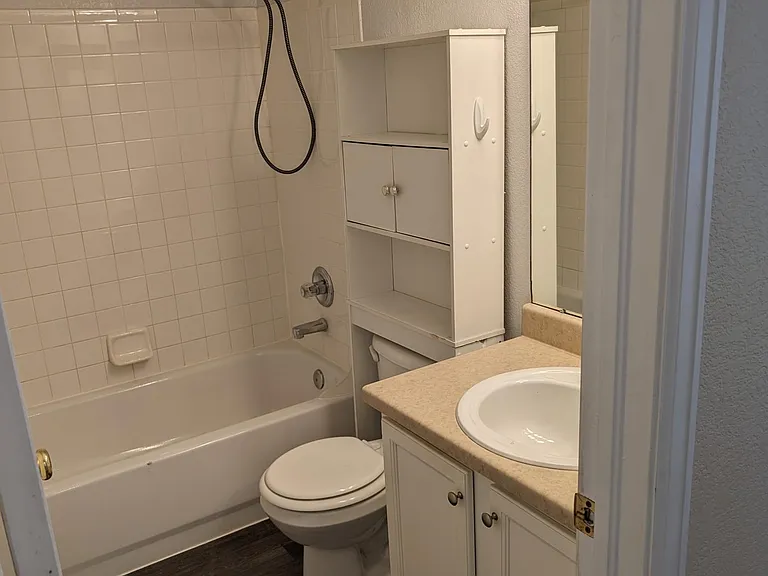 880 Macaw St — Photo 12