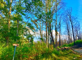 309 Tower Rd, Gatlinburg, TN 37738