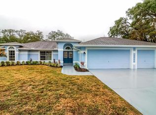 10055 Sleepy Willow Ct, Spring Hill, FL 34608