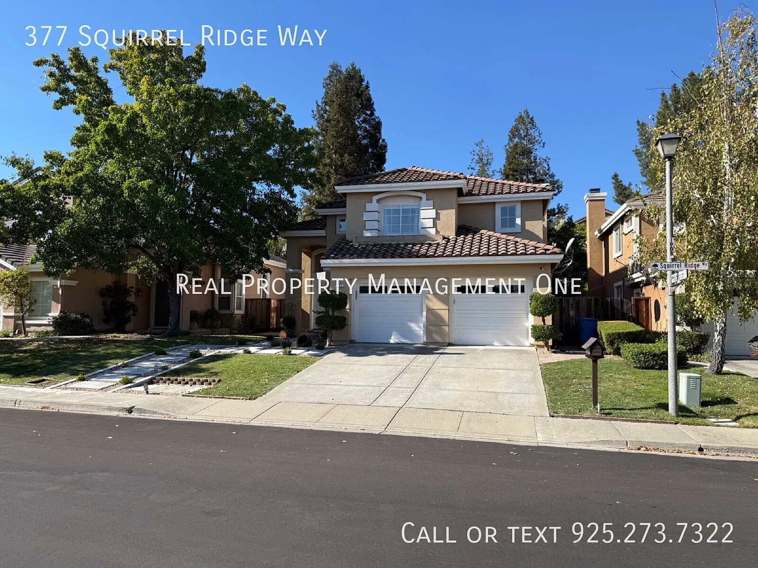 Gorgeous 4 Bedroom, 2.5 Bathroom in Perfect Danville Location — Photo 3