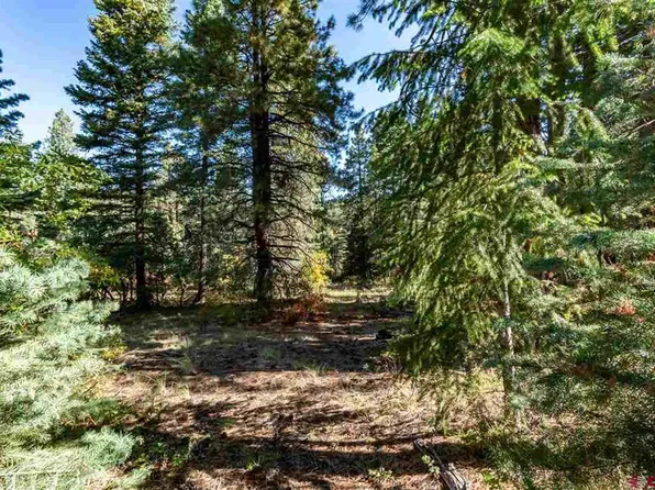 307 Nature's Way, Pagosa Springs, CO 81147