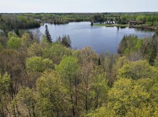 19 Woodduck Dr, Fifield, WI 54524