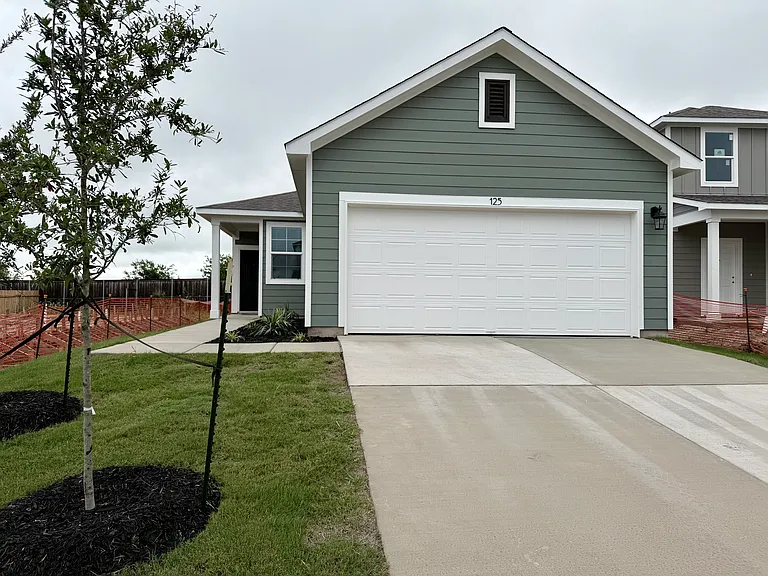 125 Cutleaf Cv — Photo 2