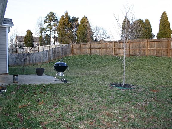 Backyard view 1