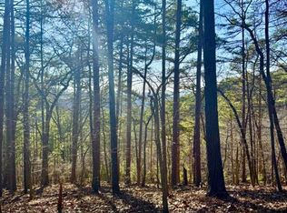 334 Packet Ct, Ranger, GA 30734