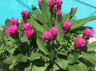 3704 Wicklow Manor Ct, Jacksonville, FL 32224