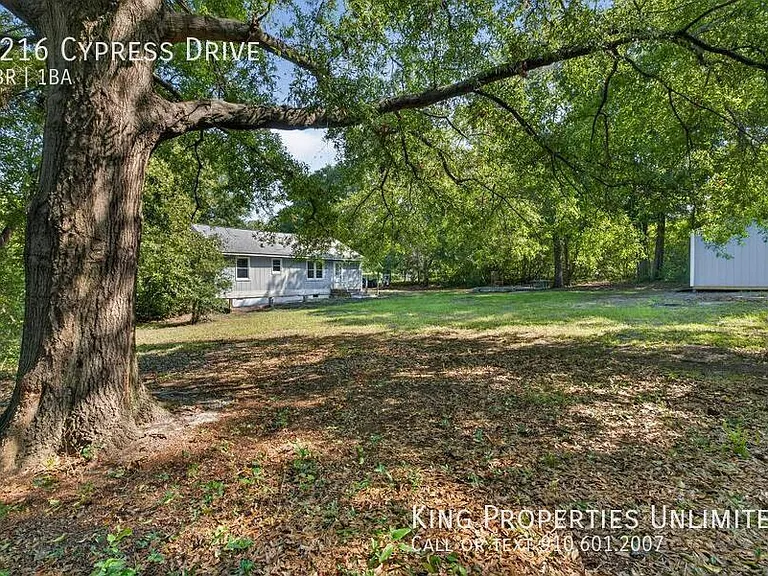 1216 Cypress Dr — Photo 11