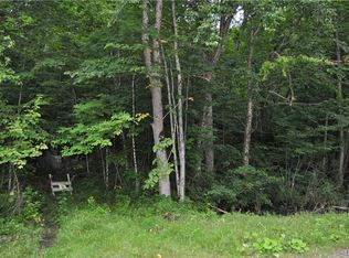 0 Dobson Rd #12, Harrisville, NY 13648