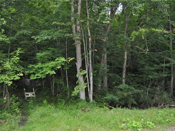 0 Dobson Rd #12, Harrisville, NY 13648