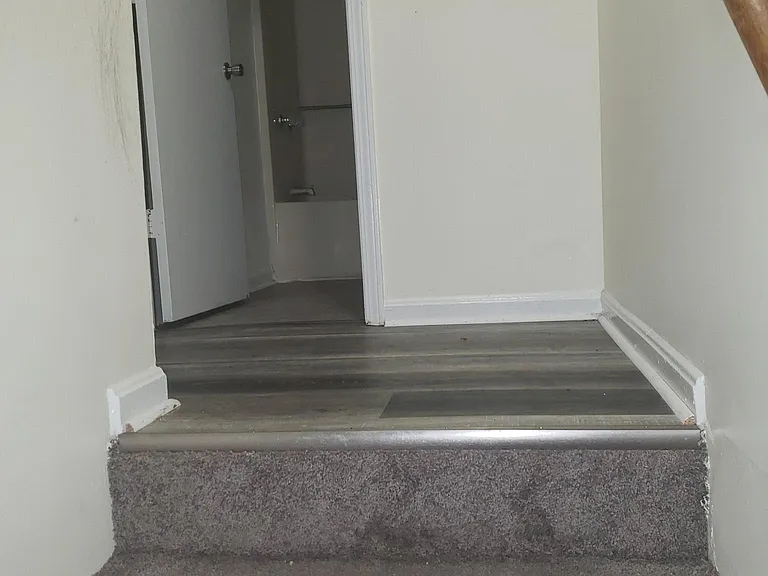 251 Shelby Ave — Photo 8