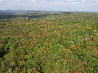 325 Tompkins Hill Rd, Jefferson, NY 12093