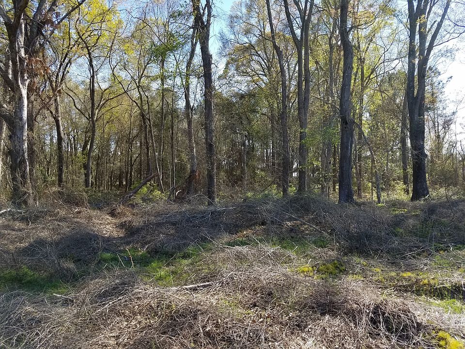 2nd image of 336 Victory Cir