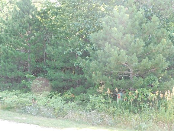 2nd image of 4867 W Jack Pine Dr