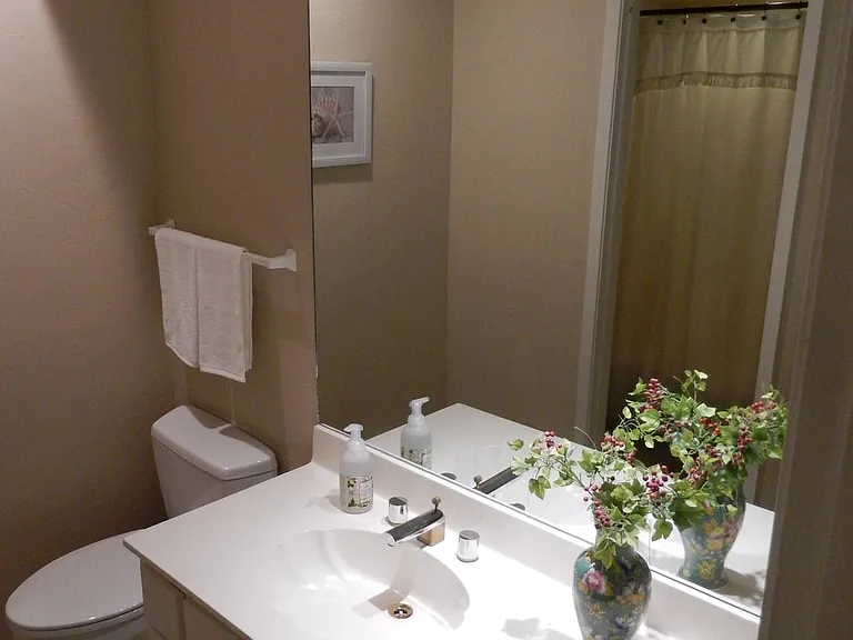 downstairs bathroom