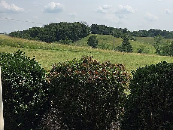 View from front porch 