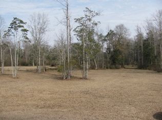 2596 Hundley Rd, Slocomb, AL 36375