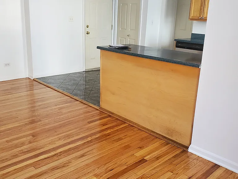 7715 N Hermitage Ave #1I — Photo 7