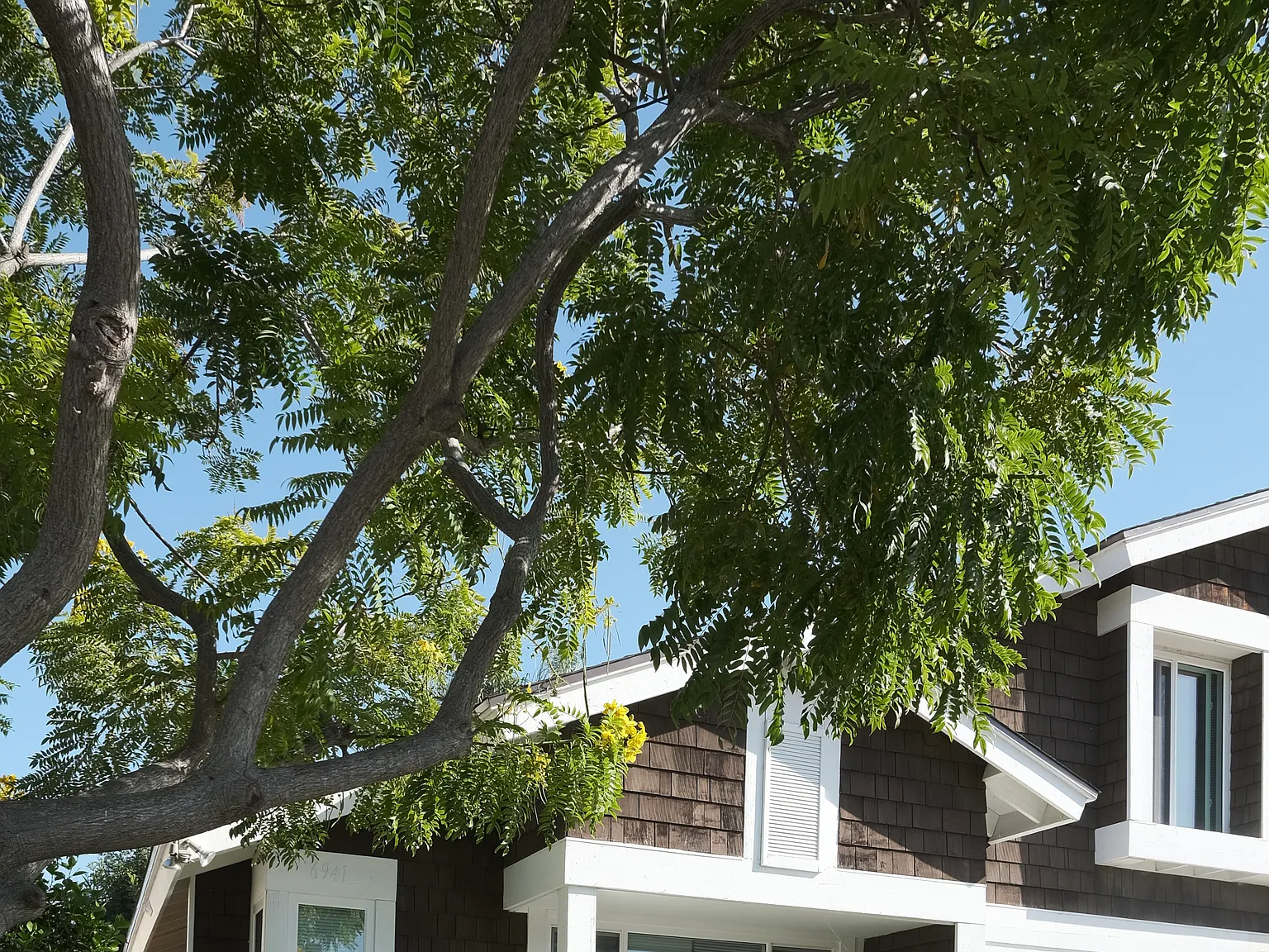 4 bed, 1568 sqft, $4,250 — Photo 2