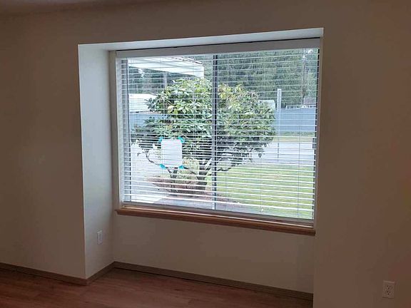 Living room and living room window.