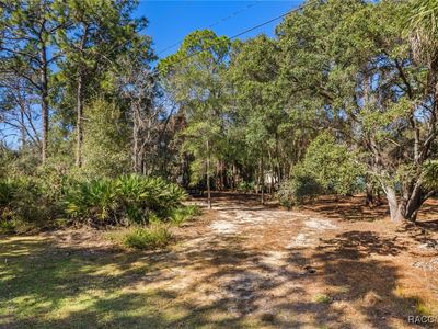 8181 W Tracy Ct, Homosassa, FL, 34448