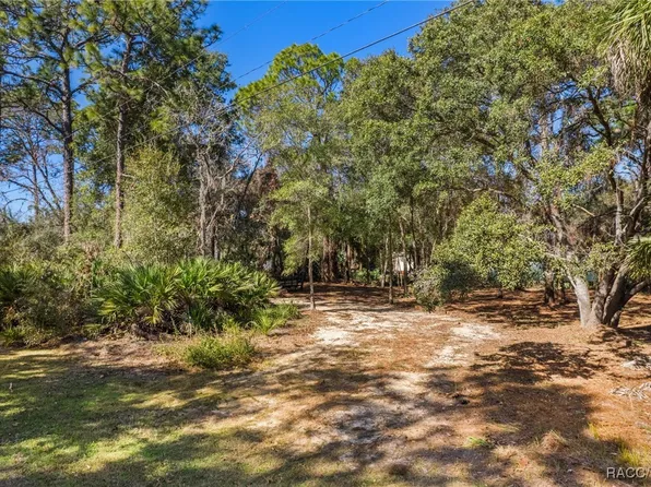 8181 W Tracy Ct, Homosassa, FL 34448