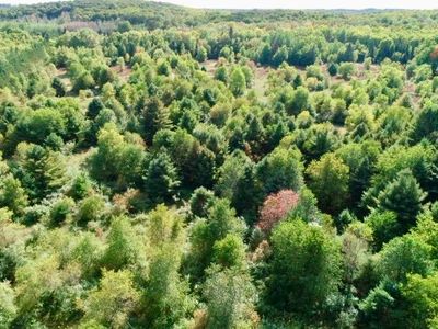 M 28 Hwy, Mc Millan, MI, 49853