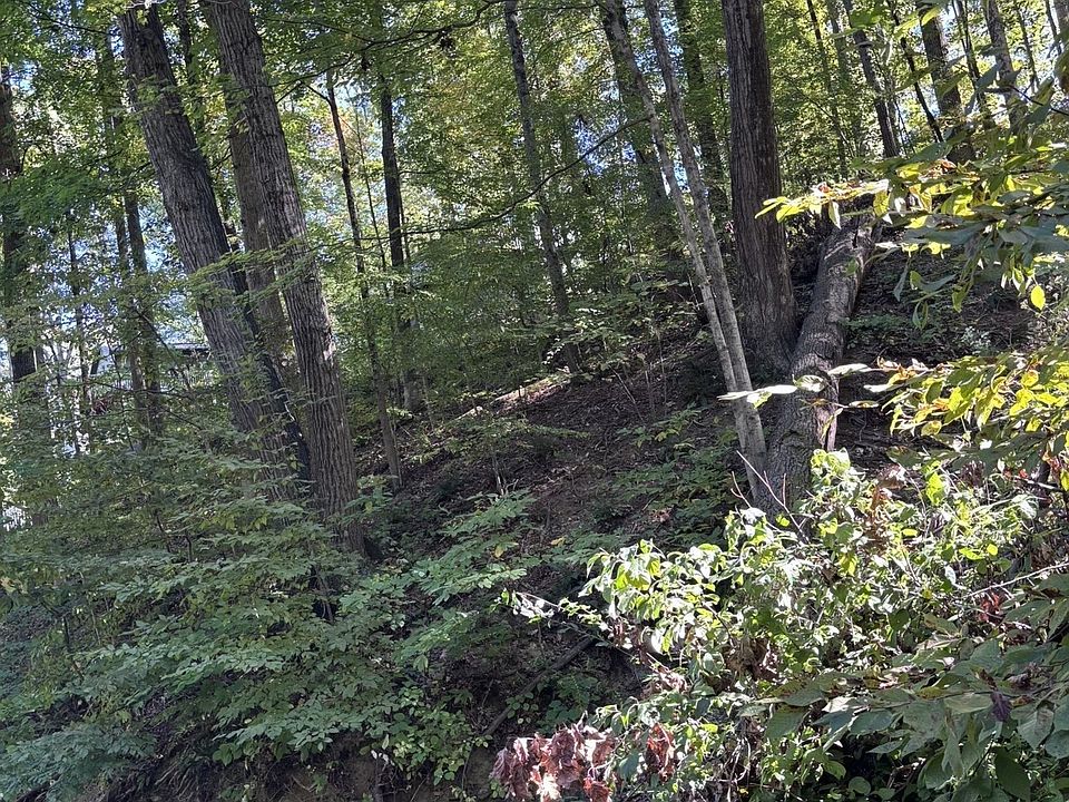 2nd image of 7617 Hummingbird Dr