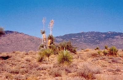 1st image of 0 S Camino Loma Alta