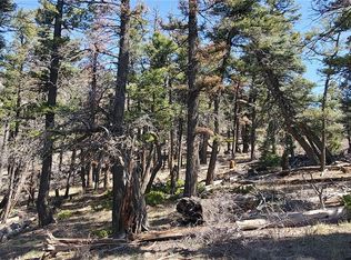 LOT 5802 Tagge Rd, San Luis, CO 81152
