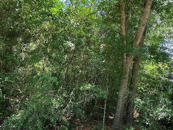 5th image of 0 Brentwood Rd Lot 9