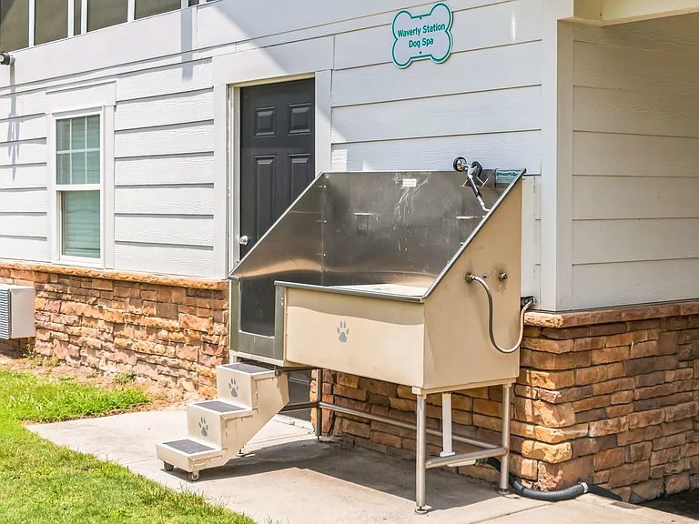 Pet Wash Station