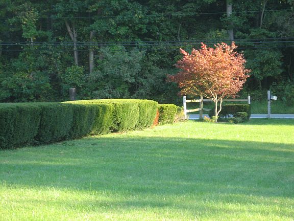 front looking at road