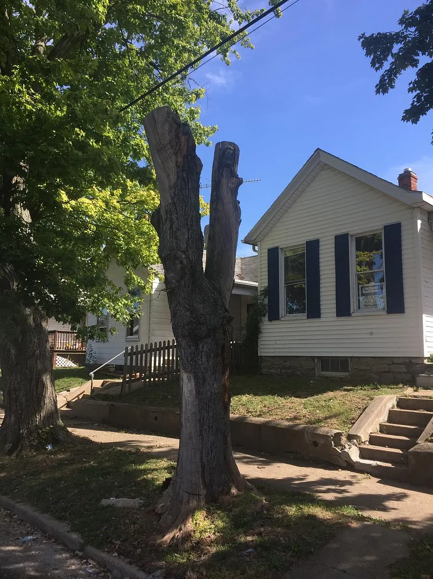 1342 Kahn Ave photo 1