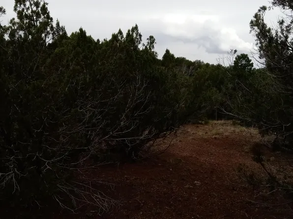 1852 Bourdon St, Show Low, AZ 85901