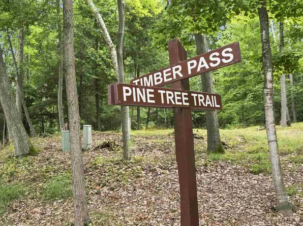 1222 Timber Pass Lot 16, Harbor Springs, MI 49740