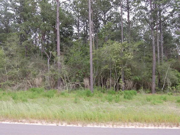 15674 Forest Grove Dr, Willis, TX 77378