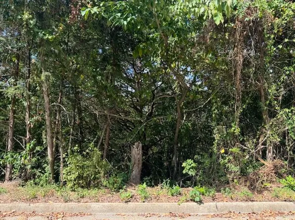 Lot 22 Rose Oneill Drive, Branson, MO 65616