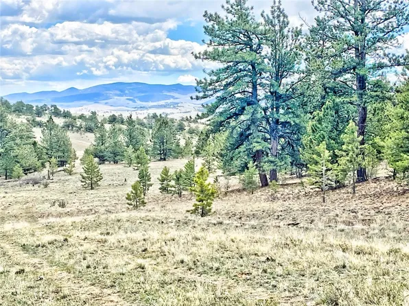 861 Hiawatha Circle, Hartsel, CO 80449