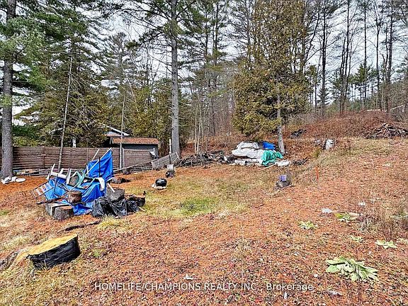 2nd image of 1038 Pike Ln