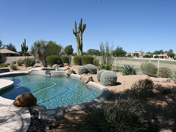 Another View of the Backyard