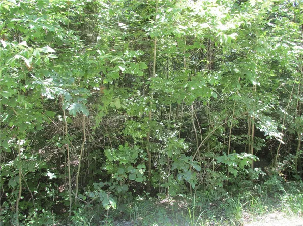 0 Shenandoah Dr, Dittmer, MO 63023